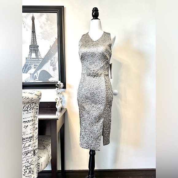 THEIA Metallic Brocade Dress - Picture 1 of 16